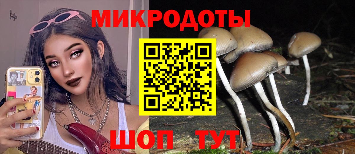 Галлюциногенные грибы Cubensis  Псилоцибиновые грибы MAGIC MUSHROOMS  Будённовск  Вход с VPN 