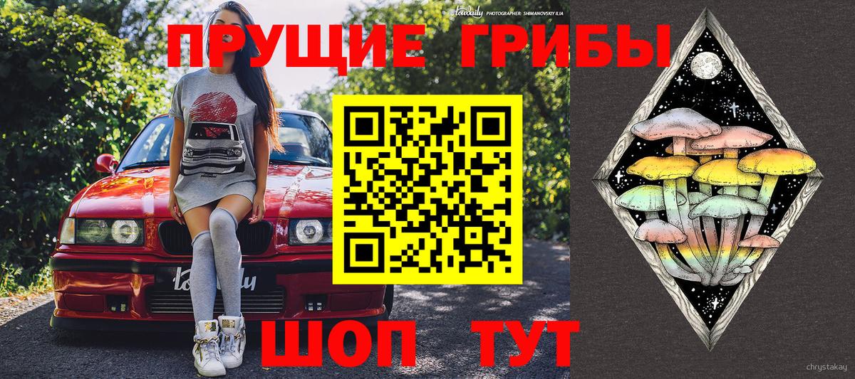 Галлюциногенные грибы прущие грибы Будённовск