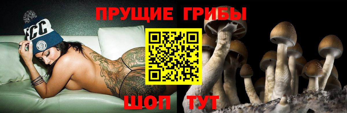 Галлюциногенные грибы мухоморы Будённовск